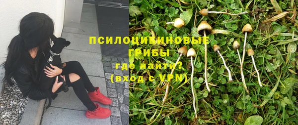 mdpv Армянск